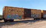 RBOX 33557 Con Grafiti 